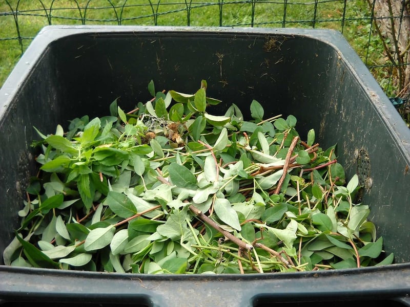Composting Techniques